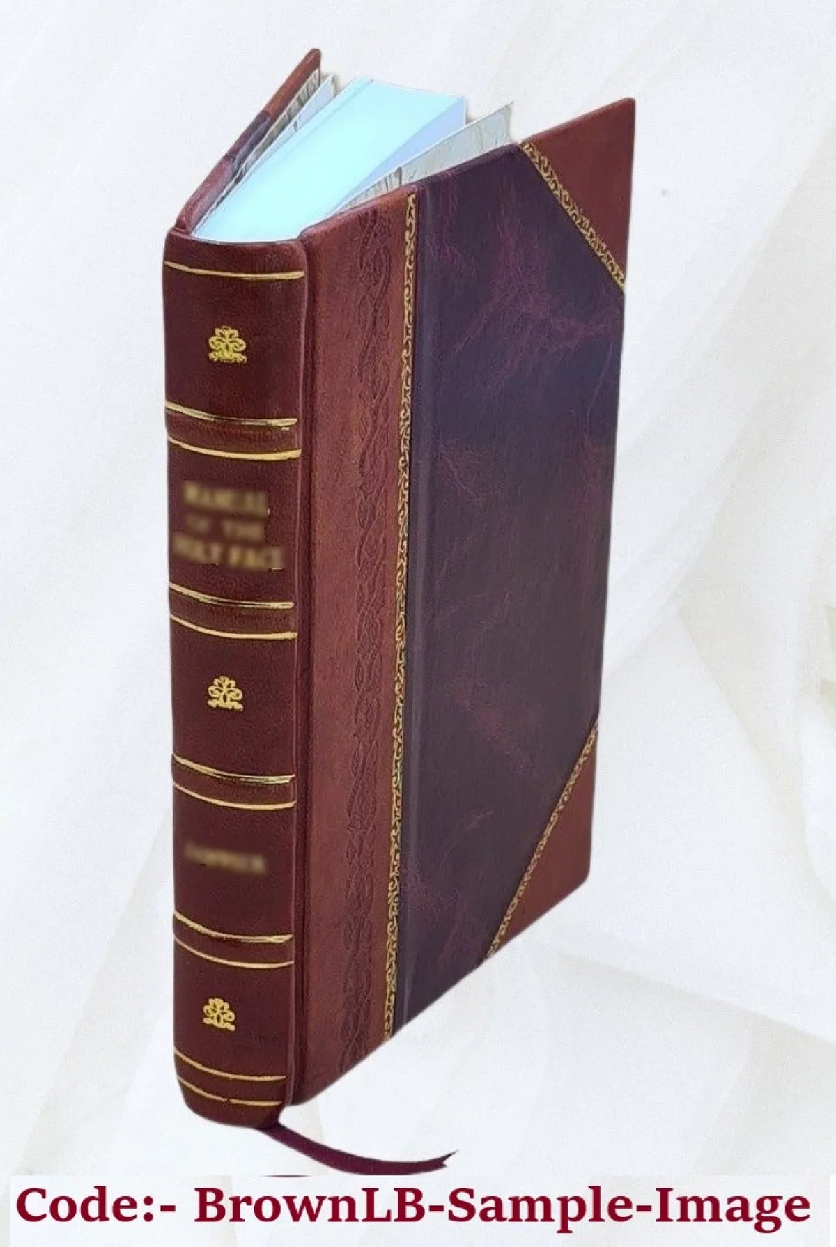The geology of Point Sal, by Harold W. Fairbanks. Volume v.2 1896-1902 1896 [LEATHER BOUND]