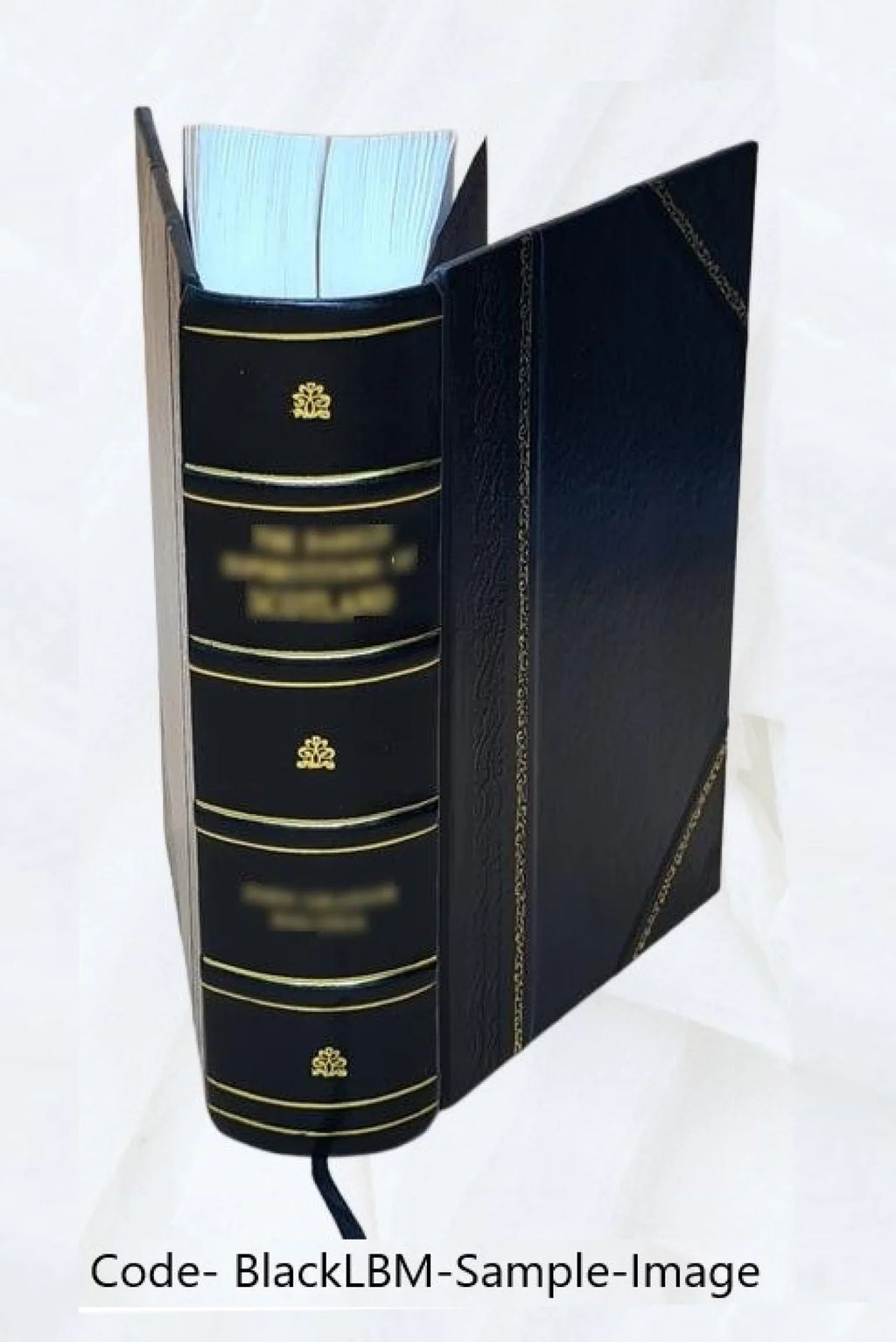 Gun and camera in southern Africa; a year of wanderings in Bechuanaland, the Kalahari Desert, and the Lake River country, Ngamiland, 1893 [Leather Bound]