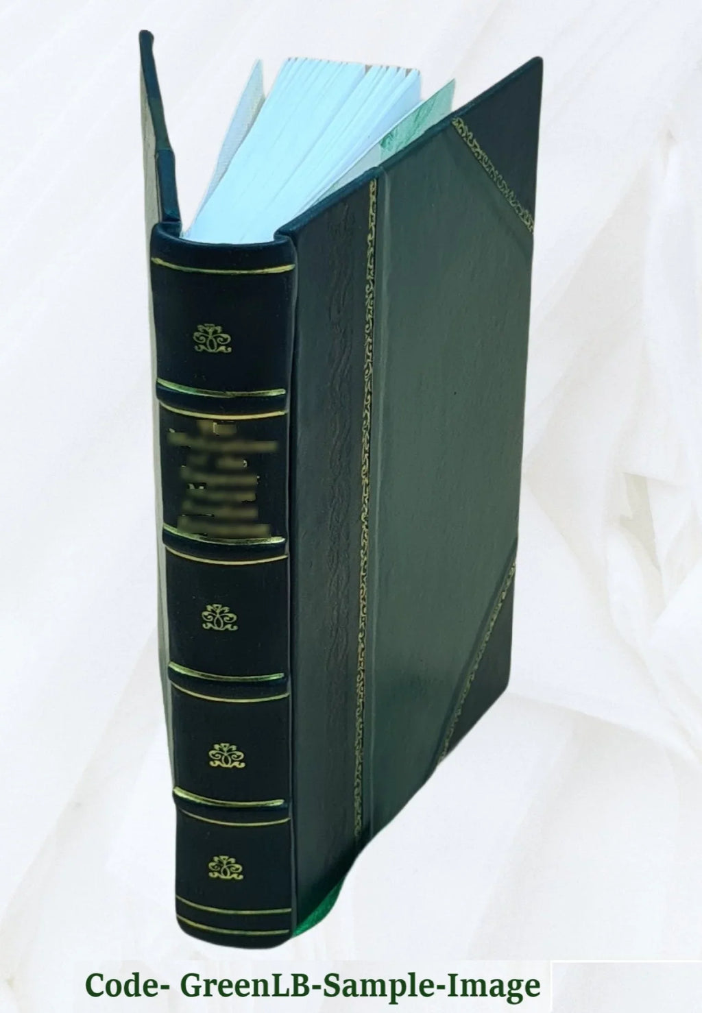 The Sinbad mines : a tale of the Rockies / by Dr. E.F. Eldridge 1905 [Leather Bound]