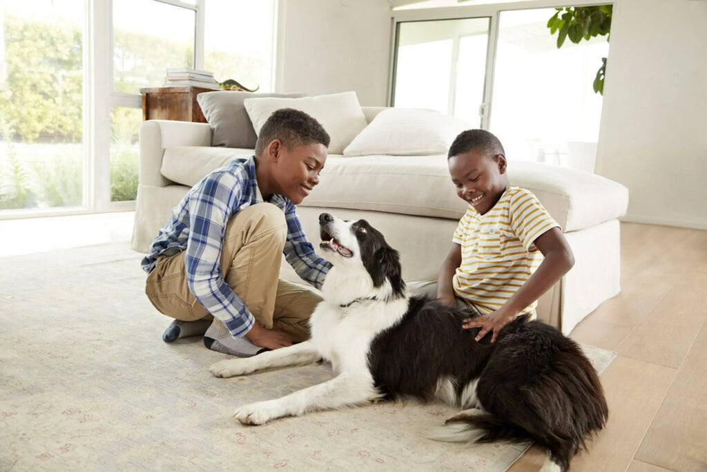 Filtrete 16x25x1 Smart Air Filter, MPR 2200 MERV 13, Premium Allergen & Home Pollutants, Captures Smoke, Bacteria and Viruses, 1 Filter