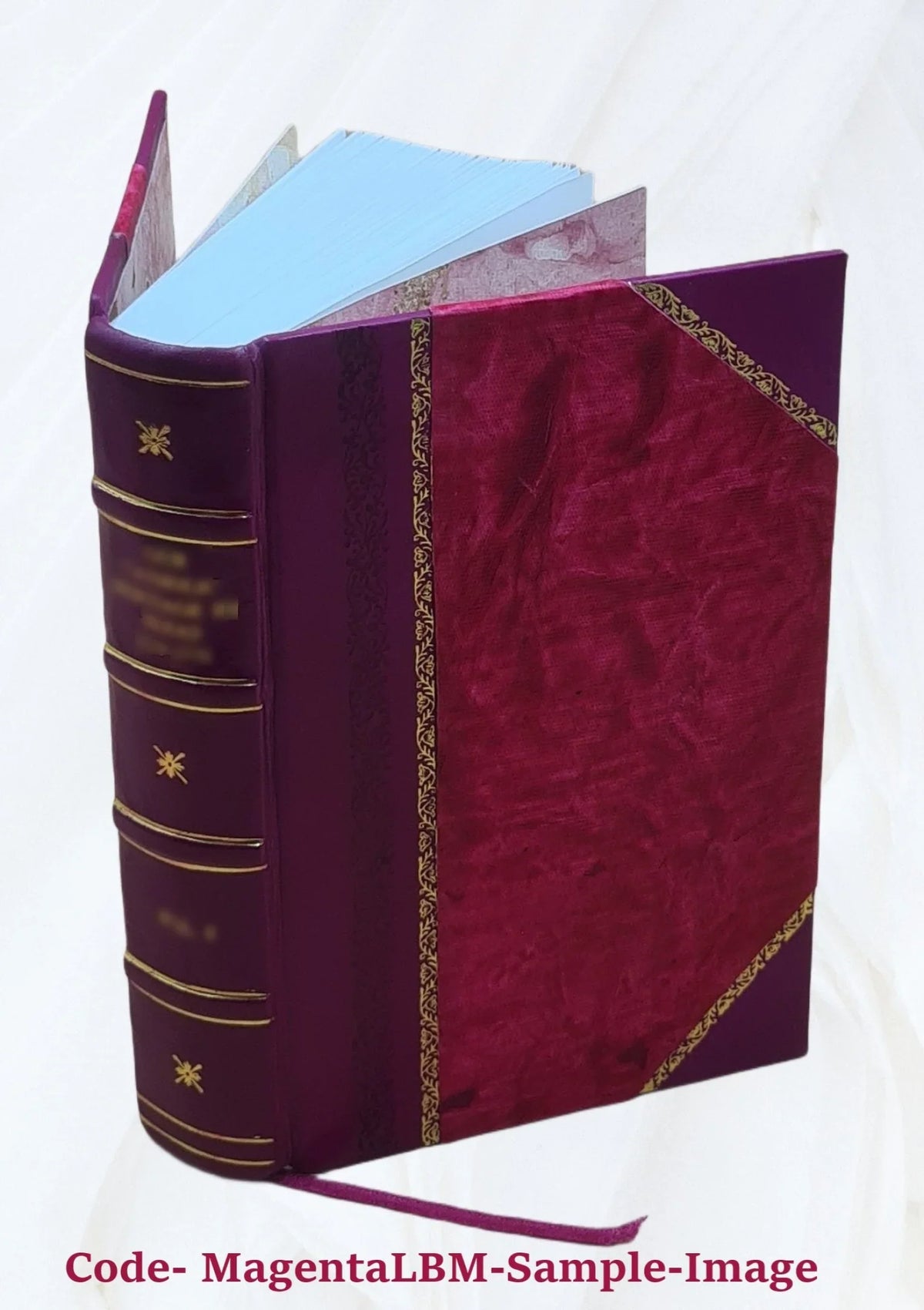 When ghost meets ghost 1914 [Leather Bound]