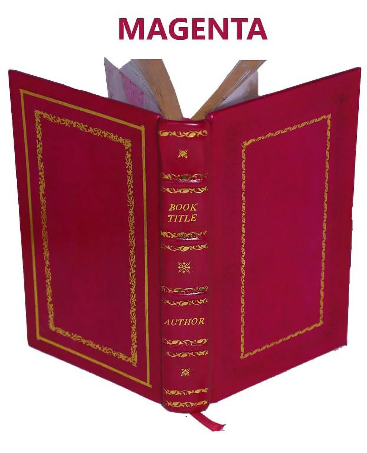 XVI reveLatitudeions of divine love shewed to Mother Juliana of Norwich 1373 1902 [Premium Leather Bound]