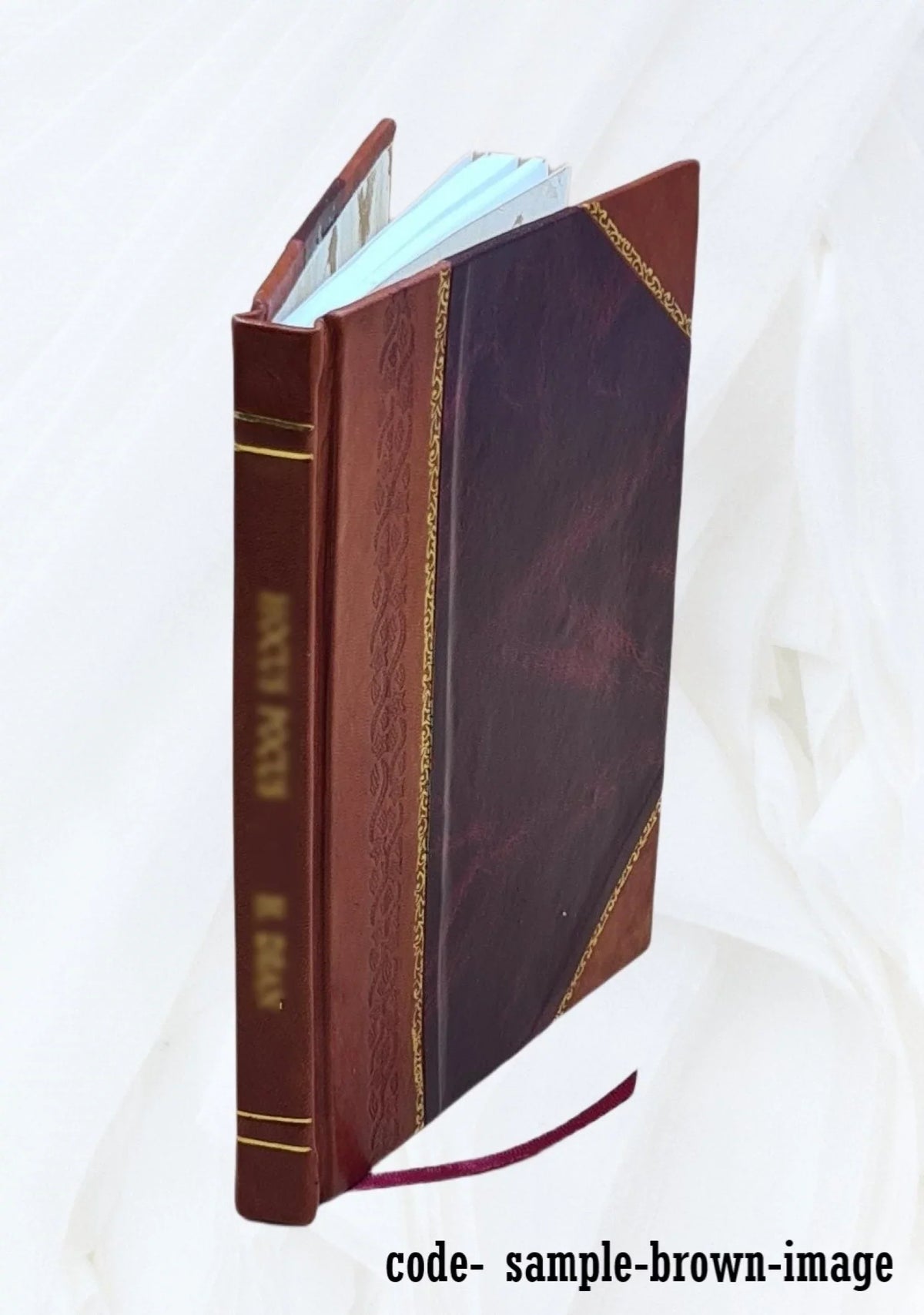 M.T. Ciceronis Ad Marcum Brutum orator 1530 [Leather Bound]
