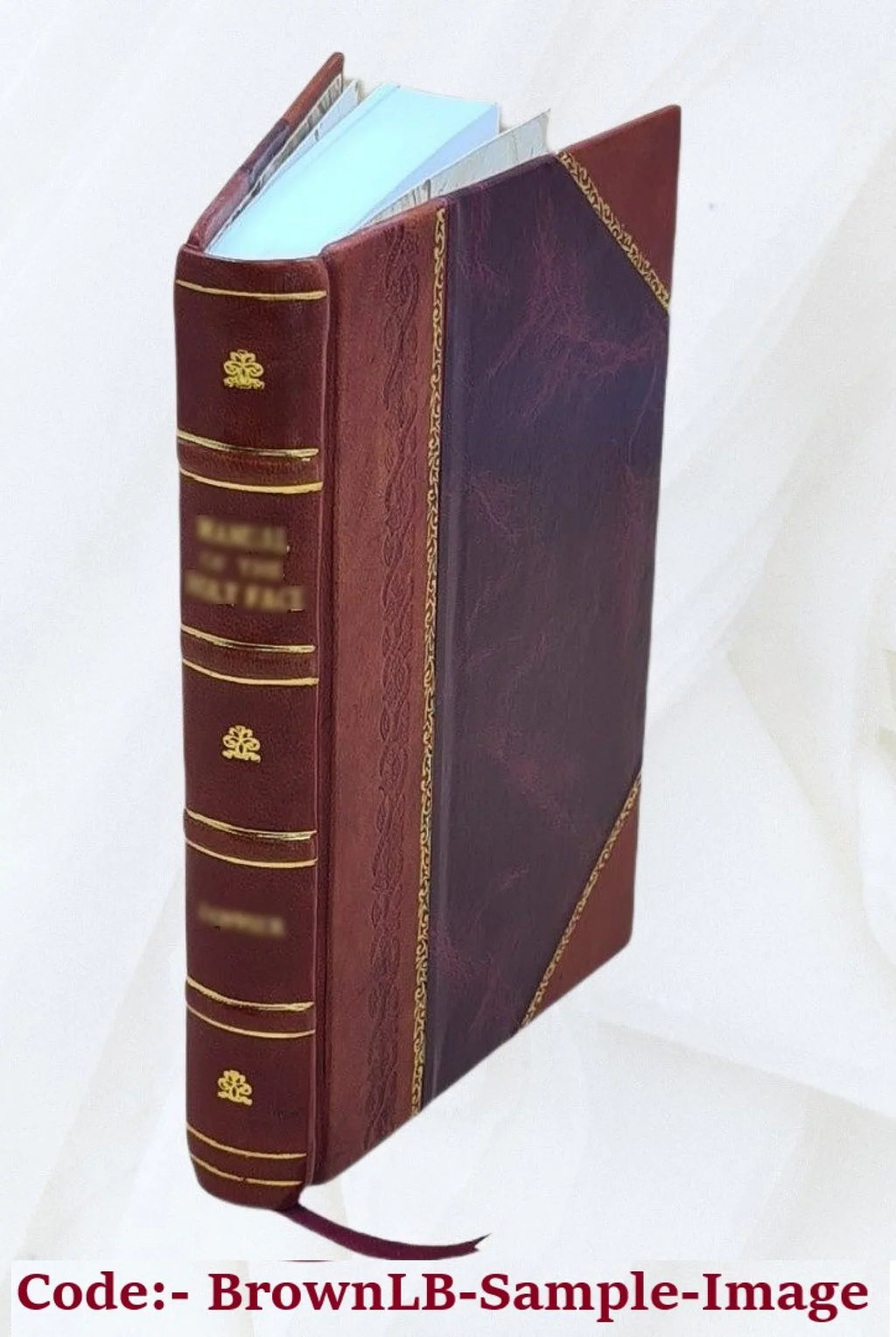 Historical address of the first Munson family reunion held in the city of New Haven, Wednesday, August 17, 1887 1887 [Leather Bound]