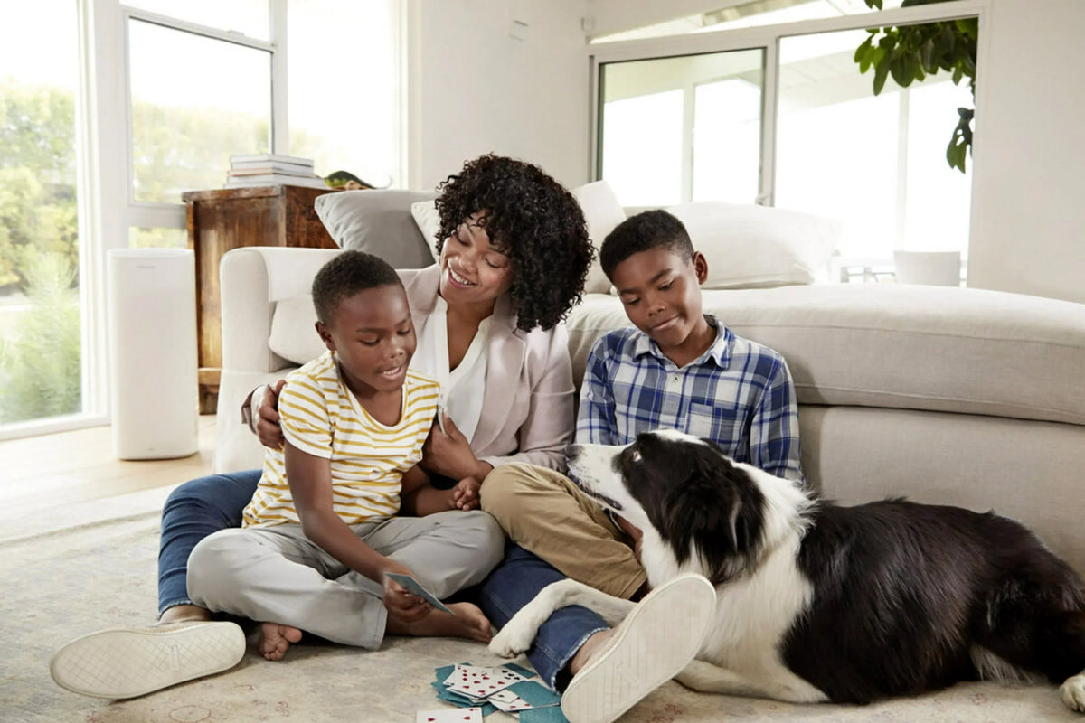 Filtrete 16x25x1 Smart Air Filter, MPR 2200 MERV 13, Premium Allergen & Home Pollutants, Captures Smoke, Bacteria and Viruses, 1 Filter
